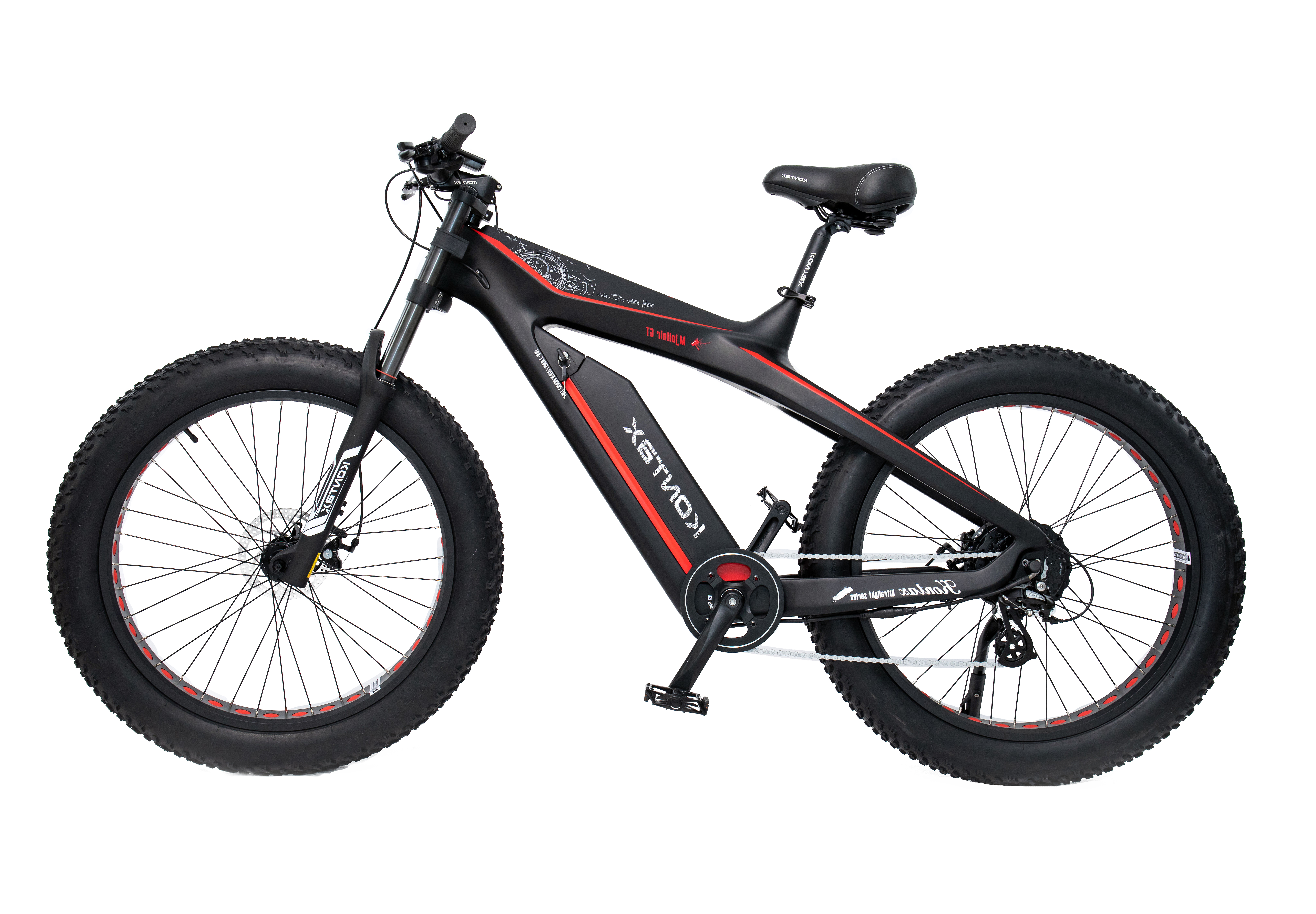 Carbon Fiber 750W ES750 EBike