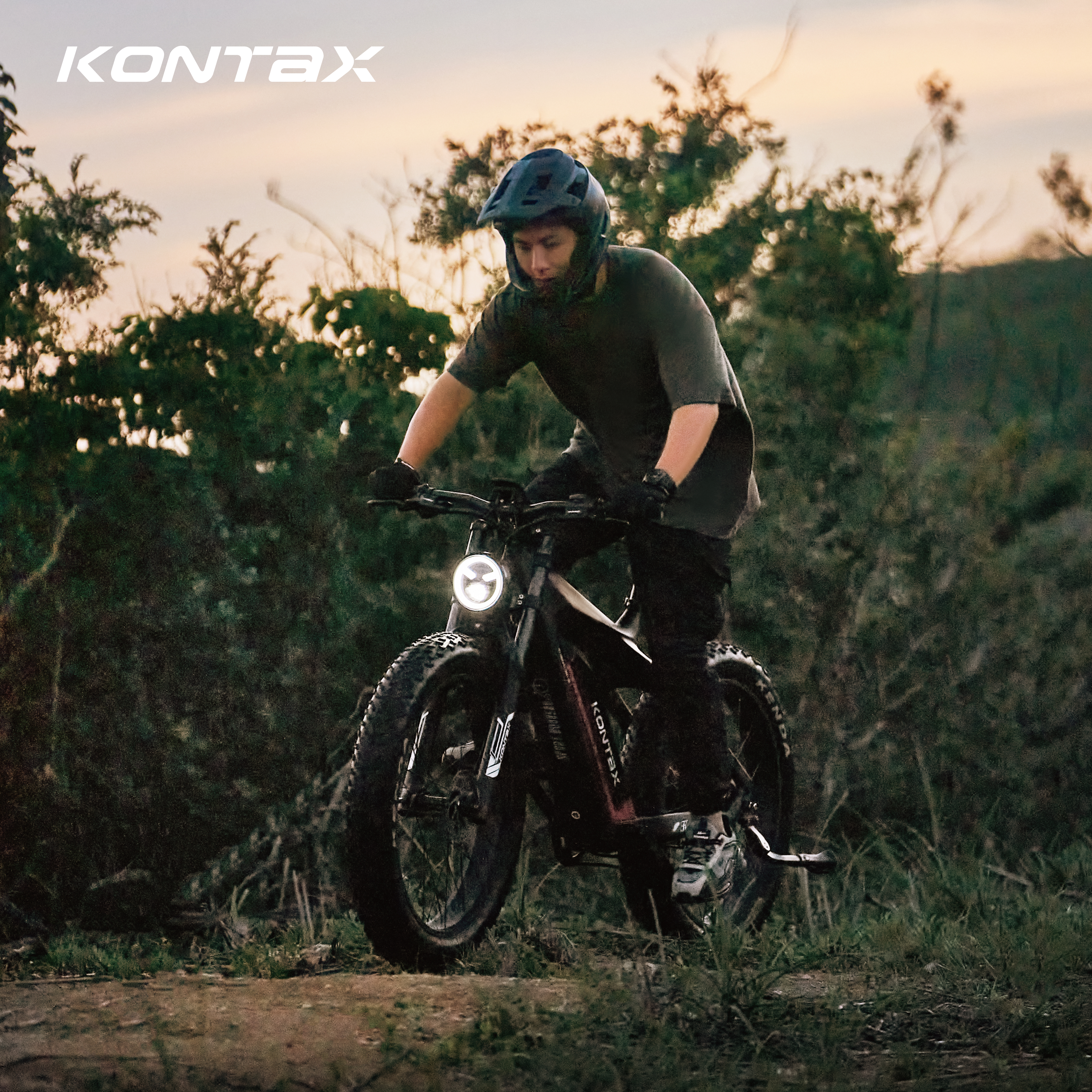 Carbon Fiber 1000W ES1000 EBike