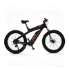 Carbon Fiber 1000W ES1000 EBike