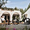 Carbon fiber hard tail ebike