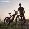 Carbon Fiber 1000W ES1000 EBike