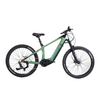 Carbon fiber hard tail ebike