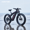 Carbon Fiber 1000W ES1000 EBike