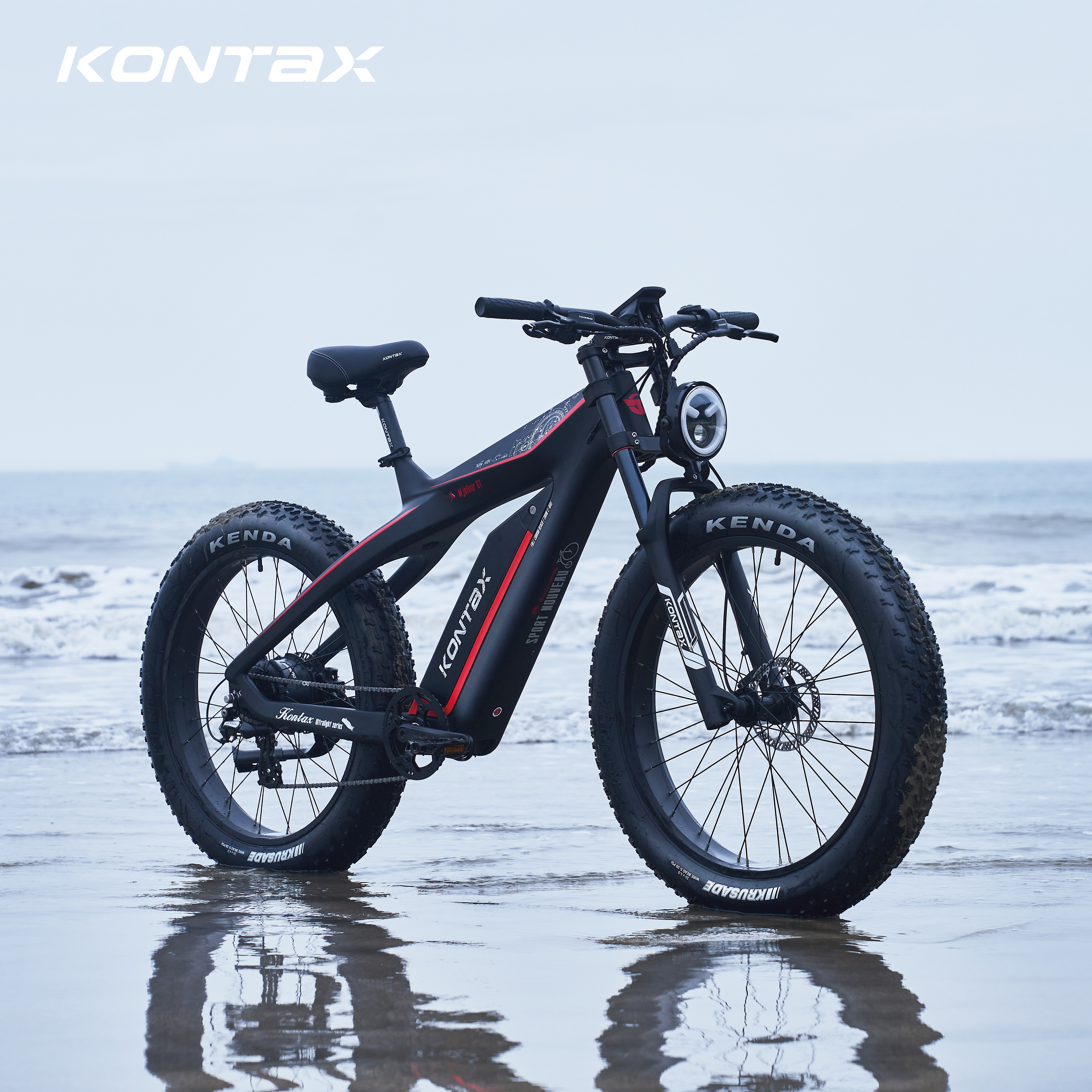 Carbon Fiber 1000W ES1000 EBike