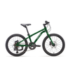 YOUTH MOUNTAIN BIKE